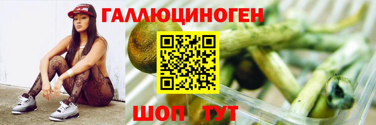 Псилоцибиновые грибы Cubensis Богородск